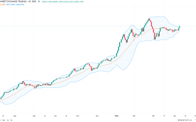Bursa de la București, conectată la externe: BET urcă spectaculos cu +0,9%