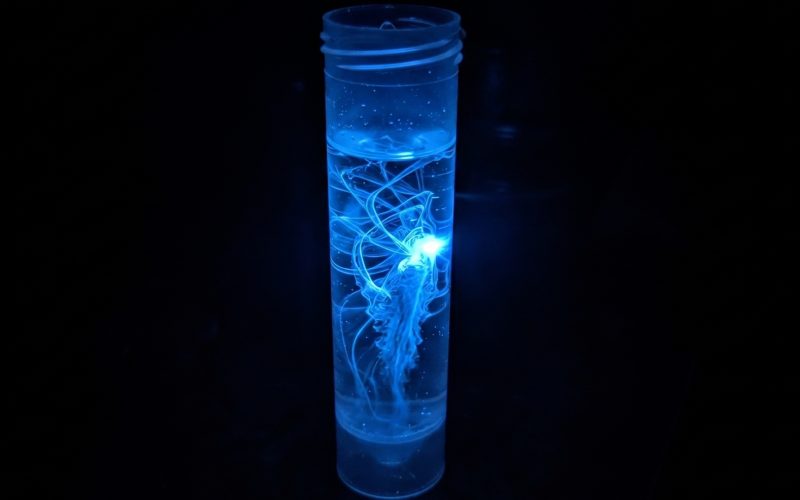 Hoți nebănuți și un cilindru fatal: Coșmar nuclear, sute de victime în România