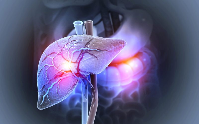 Ficat gras: 1,8 miliarde de oameni, posibil afectați pânǎ în 2050