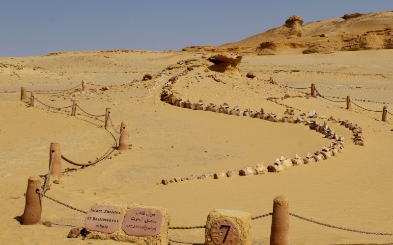 Egiptul Antic, la un pas de colaps: Ce s-a întâmplat acum 4200 de ani