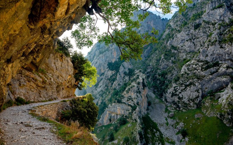 Un parc NAȚIONAL românesc, necunoscut turiștilor, desemnat „cel mai frumos loc”