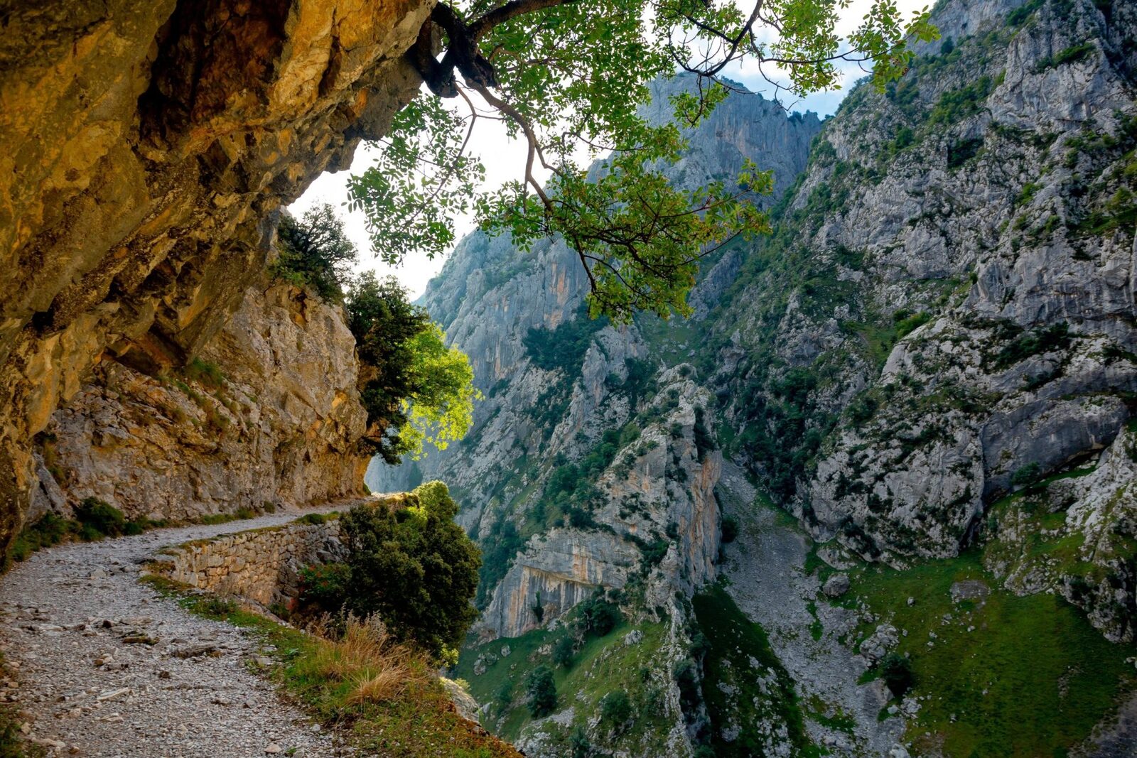 Un parc NAȚIONAL românesc, necunoscut turiștilor, desemnat „cel mai frumos loc”