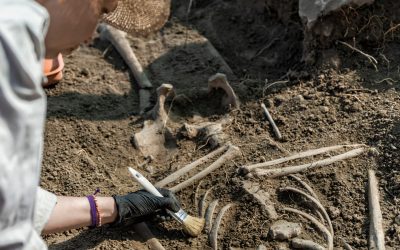 Antic: Peisajul dezvăluie urmele oamenilor care au trăit acum 100.000 de ani