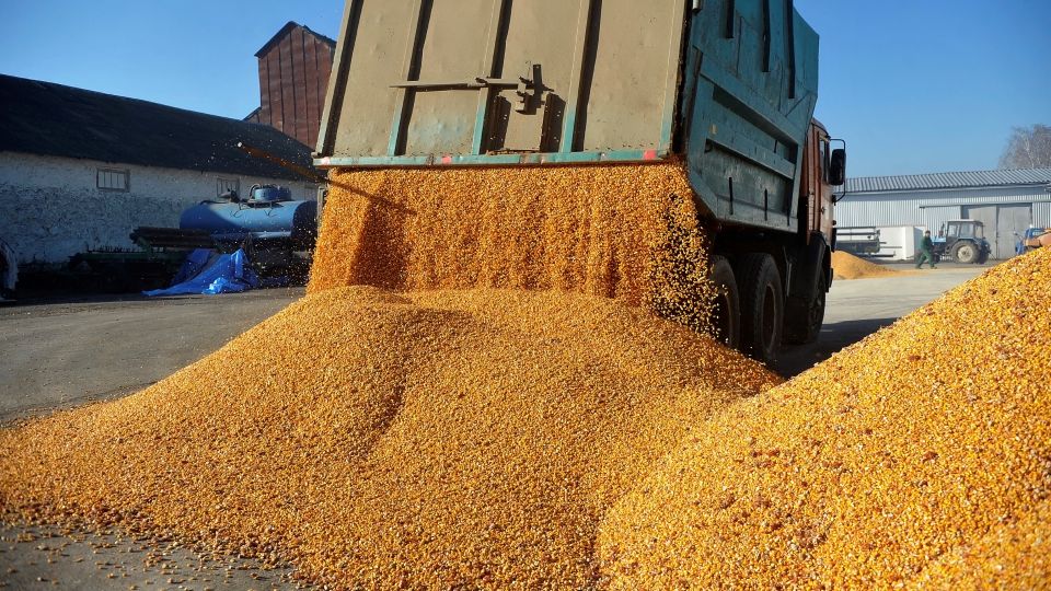 Afacerile Agropec Dionis, explozie în 2025: Traderii români, pe valul producțiilor record