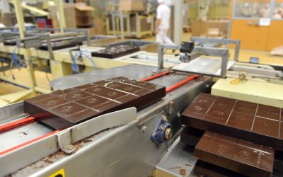 Cacao amărâtă pentru Barry Callebaut: Prăbușirea prețului lovește gigantul elvețian, acțiunile în picaj