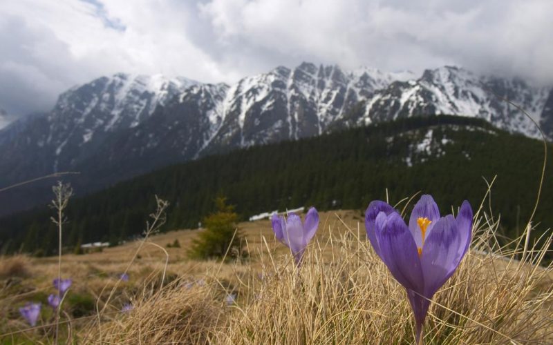 Ger cumplit de paște în România: Meteorologii anunță vreme de iarnă