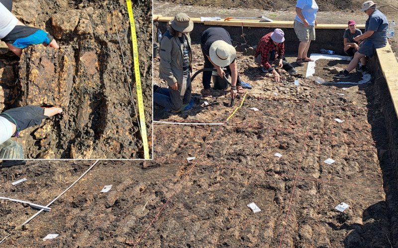 Arheologii din România și Germania, descoperire epocală la Cucuteni