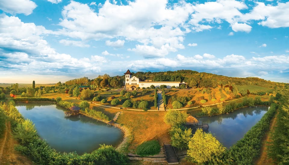 Preluarea SERVE de către Purcari, analizată: Implicații și perspective