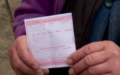 Călătoria la pensie: Cum își pot apăra vârstnicii drepturile, la recalculare