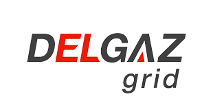 Delgaz Grid pompează 241 milioane euro în rețelele de gaze și curent în 2025