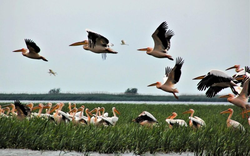 Situația e critică: „Suntem la marginea dezastrului”, avertizează experții