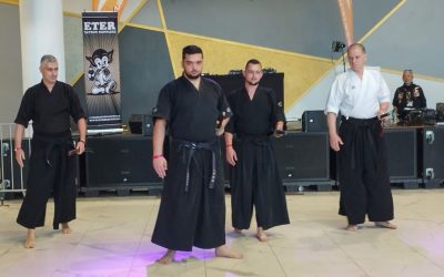Kenjutsu la Timișoara: Arta săbiei, între spectacol și filosofie