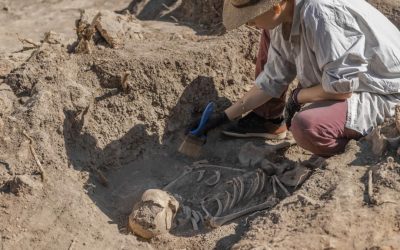 Amud 7, bebeluș Neanderthalian: Dezvoltare mai rapidă decât oamenii moderni