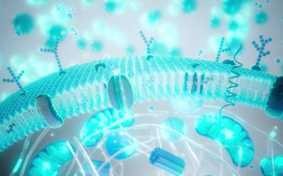 Balonare și greață după Paște: Ghid Rapid pentru digestie ușoară