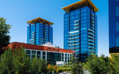 Brandurile românești din imobiliare: De la cărămidă la experiență. Cum au reușit dezvoltatorii?