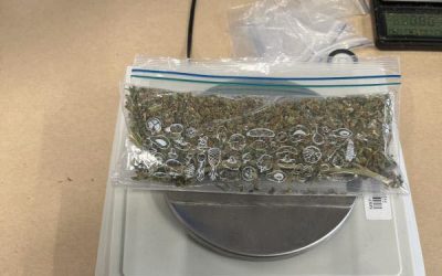 Mari confiscări de droguri: Poliția și procurorii, pe urmele traficanților în România