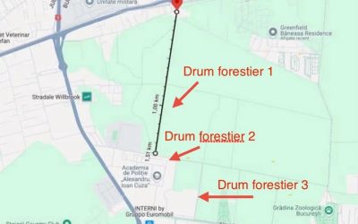 Demiteri la Romsilva: Diana Buzoianu cere capete după scandalul pădurii Băneasa