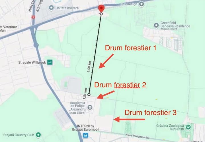 Demiteri la Romsilva: Diana Buzoianu cere capete după scandalul pădurii Băneasa