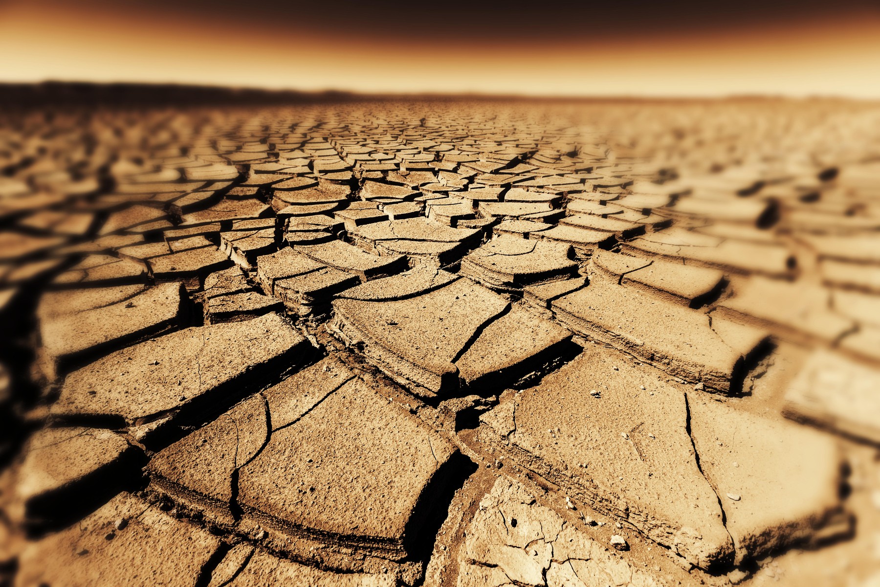 Seceta face ravagii: Bacterii rezistente la antibiotice, mai aproape de noi