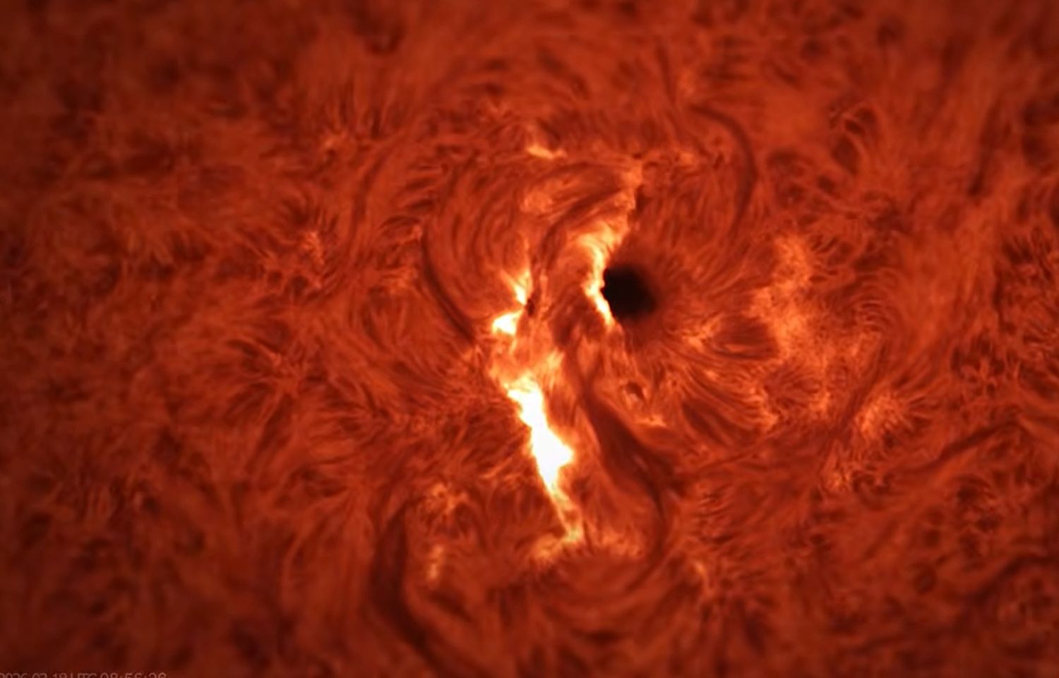 Cum răsună o erupție solară? Un eveniment rar, surprins în direct