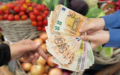 MADR dă bani fermierilor în 2026: Când încep plățile în România?