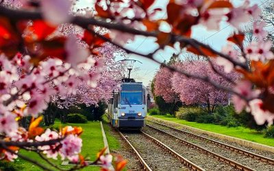 Aprilie la București: Evenimente MUST-SEE. Pune-le-n calendar!