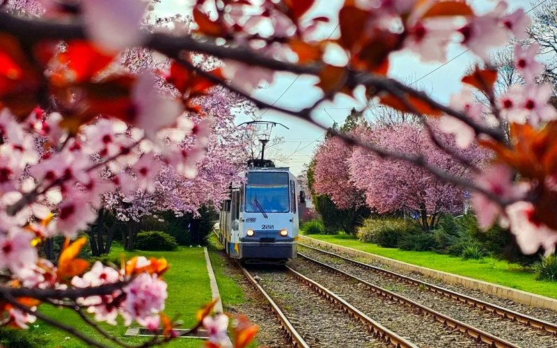 Aprilie la București: Evenimente MUST-SEE. Pune-le-n calendar!