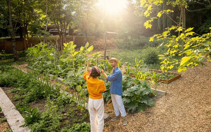Kaufland, asaltat de clienți: Kit solar smart-eco, pe cale de dispariție