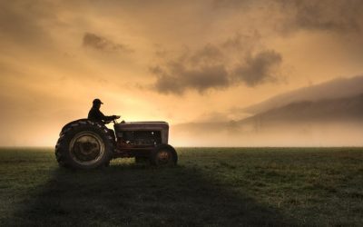 Agricultorii cer Guvernului și UE: „Opriți criza, lăsați prostiile!”