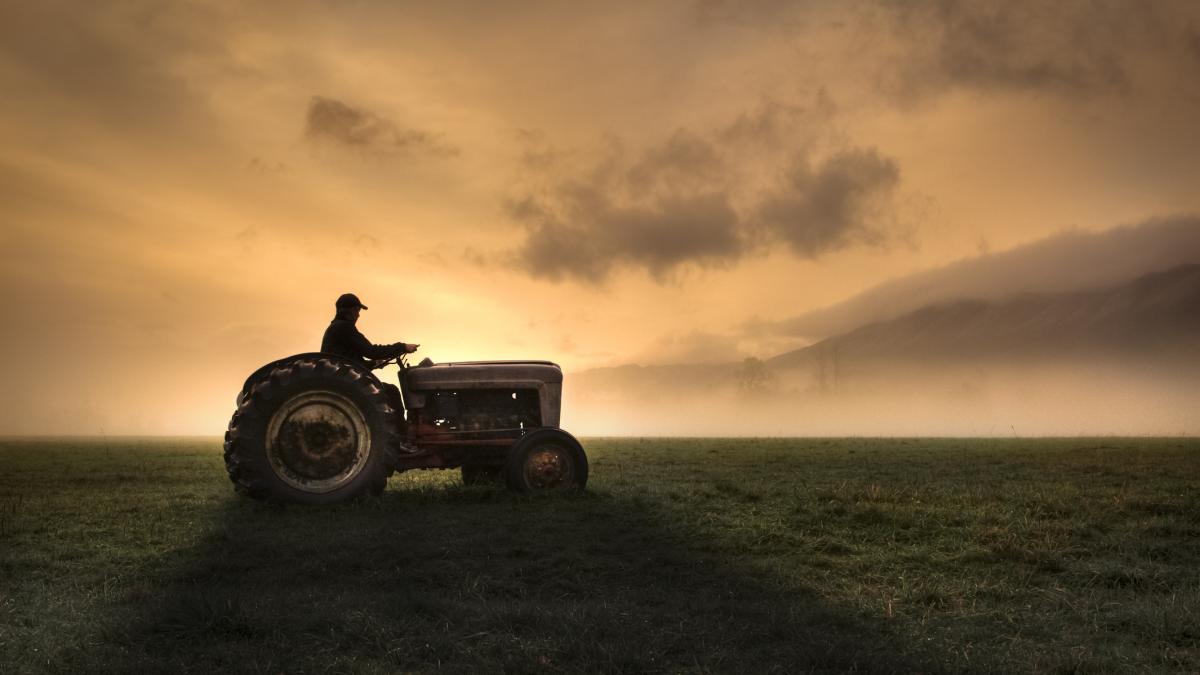 Agricultorii cer Guvernului și UE: „Opriți criza, lăsați prostiile!”