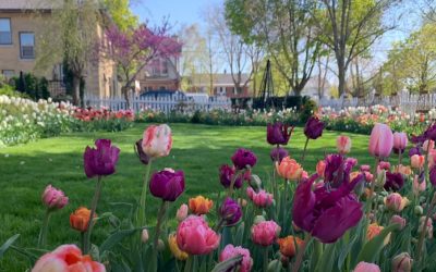 Vremea, 15 aprilie: Soare și căldură neobișnuită în Vest și Nord-Vest