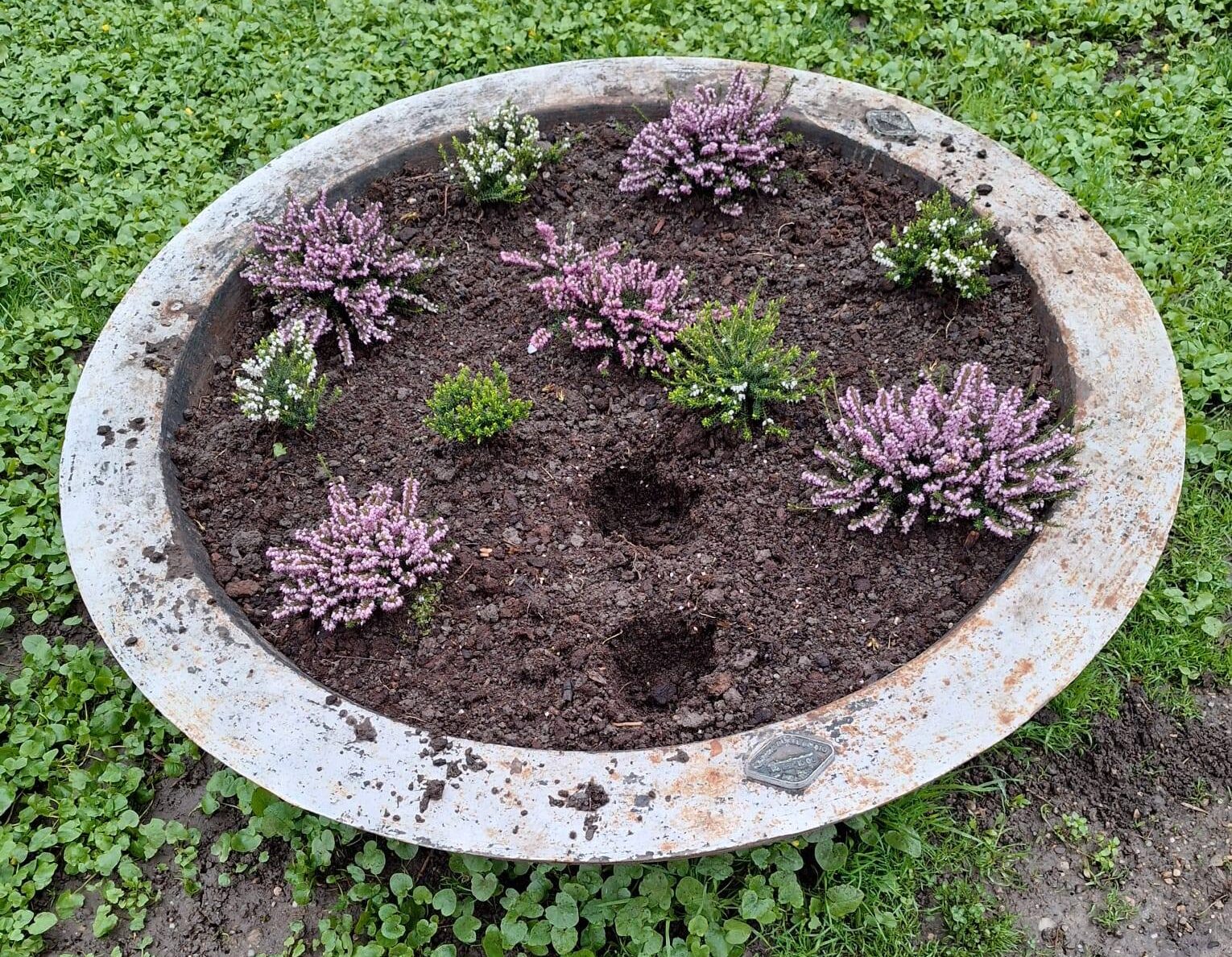 Florile din chișmigiu, vegheate de poliția locală