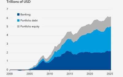 FMI: Piețe emergente, atractive pentru investiții, dar riscurile cresc