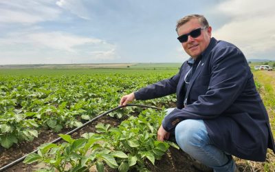 Probleme la Grup Șerban Holding: Interagroaliment intră în insolvență, după 26 de concedieri