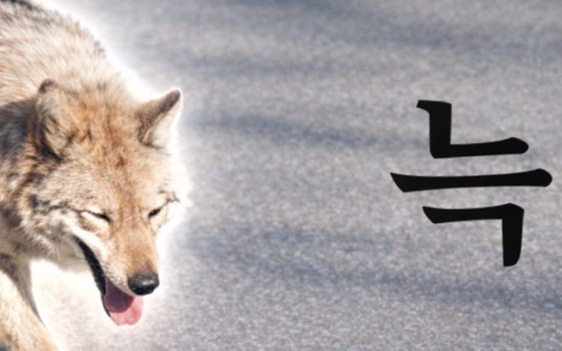 Lupul din Coreea de Sud, star de meme coin: Președintele, îngrijorat