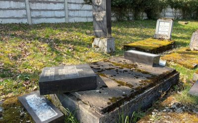 Răsturnare de monumente la Reghin: Dosar penal după profanare în cimitirul evreiesc