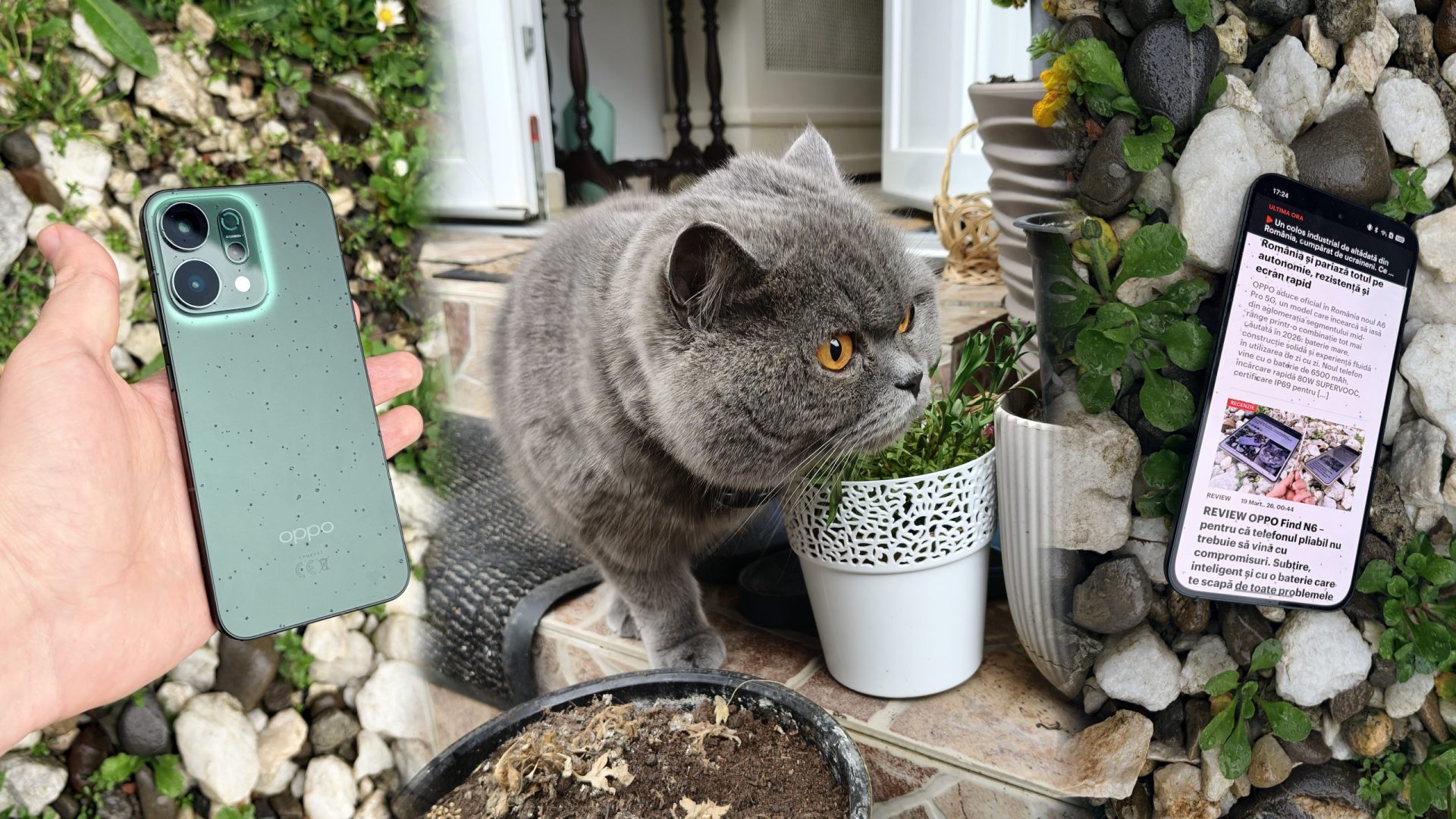 Oppo reno14 5g, asul din mânecă: Design, ai și baterie de nota 10, va da lovitura?