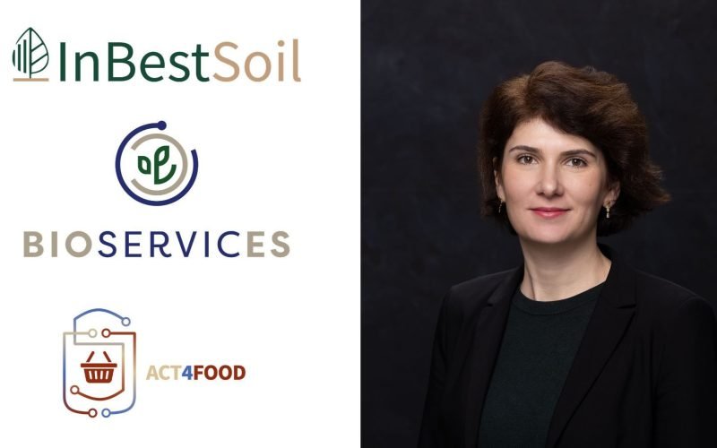 June Communications se extinde: Nouă divizie pentru proiecte europene