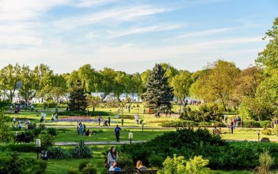 Festivaluri de film și Hanami: Weekend-ul aduce ARTE la București!