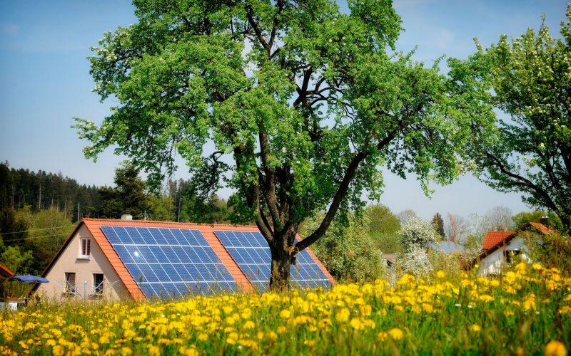 Lemn SOLAR revoluționar: Inginerii crează sursă de energie chiar și noaptea!