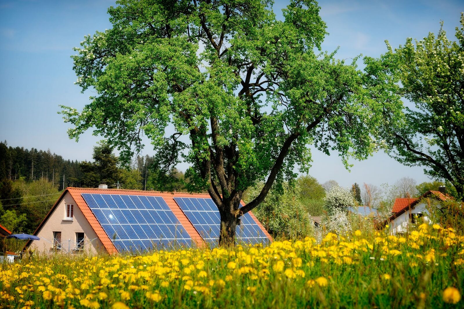 Lemn SOLAR revoluționar: Inginerii crează sursă de energie chiar și noaptea!