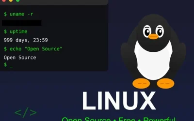 Franța scapă de Windows: Vrea Linux! Luptă cu giganții tech americani