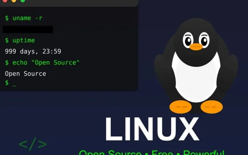 Franța scapă de Windows: Vrea Linux! Luptă cu giganții tech americani