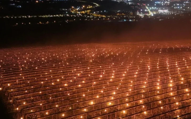 Au dat foc la 40.000 de euro! Cum și-au salvat recolta pomicultorii din Cluj-Napoca