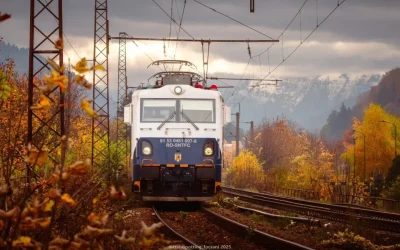 Apar ”bolizii” pe calea ferată din România: Ce povești ascund?