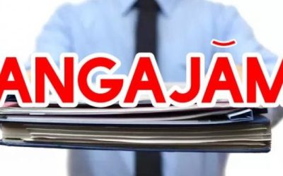 Angajări în România: Firmele se „bat” pe șoferi, curieri și necalificați