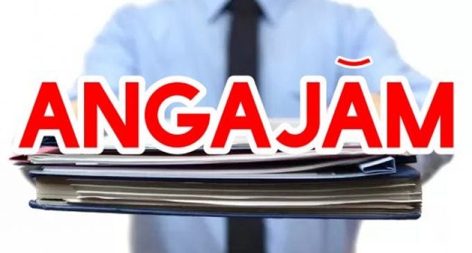 Angajări în România: Firmele se „bat” pe șoferi, curieri și necalificați