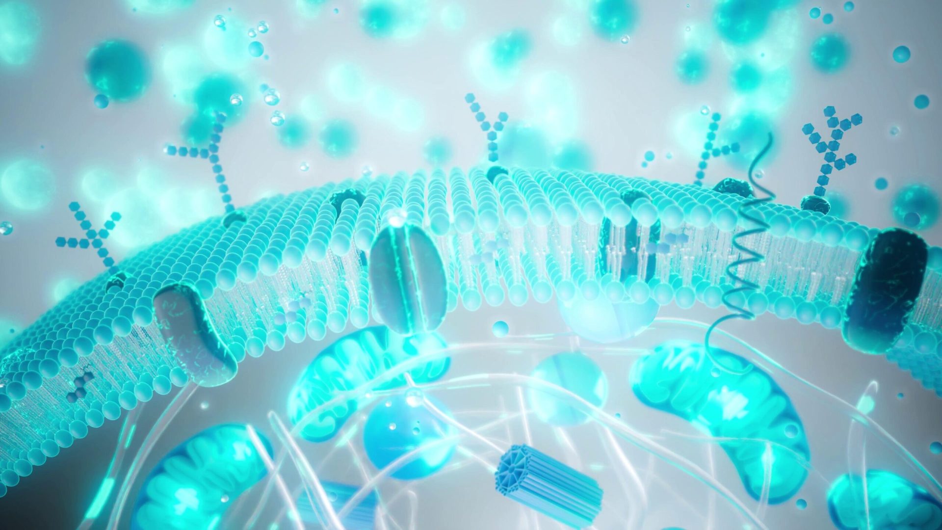 Tinerete la pret: Medicina anti-imbatranire, intre fapte și promisiuni