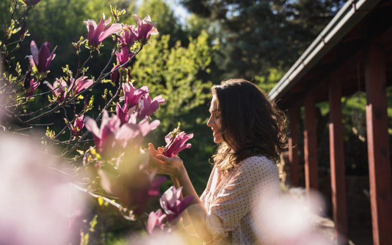 Copacul miraculos: Plantează-l în aprilie și-ți schimbi viața radical