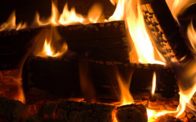 Oamenii preistorici, maeștri ai focului: Lemnele aduse de apă, secrete vechi de 780.000 ani